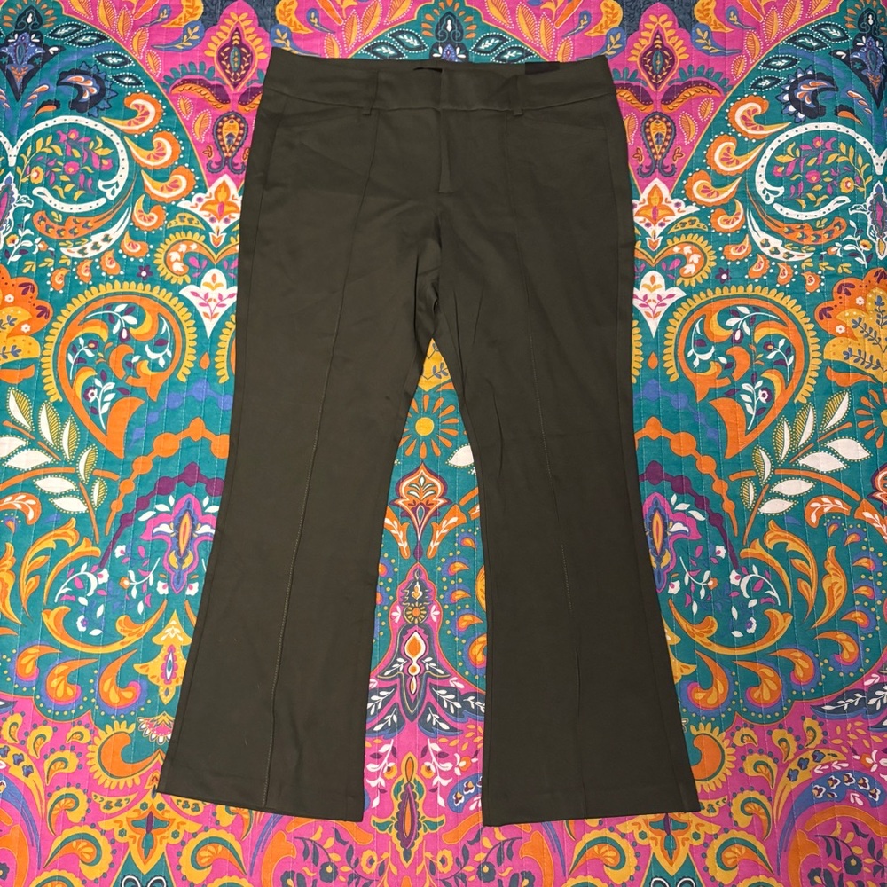 Torrid Dark Olive Studio Luxe Ponte Bootcut Pants